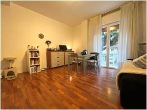 Apri Galleria Immagini